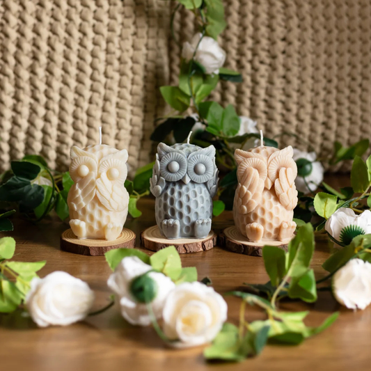 Bougie “Chouette de la sagesse dijonnaise” – Artisanale, cire végétale